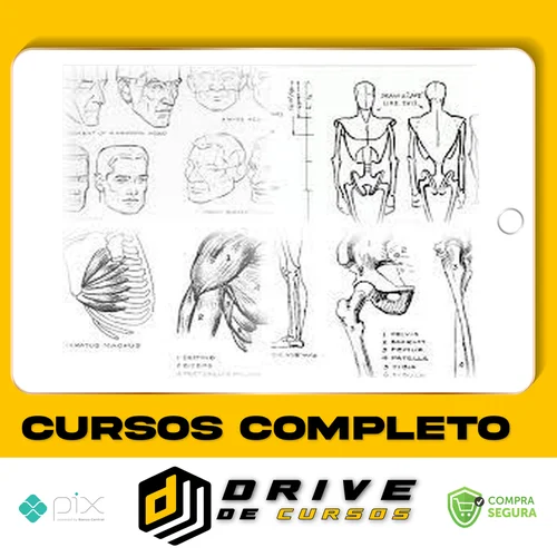 Livros de Desenho - Andrew Loomis