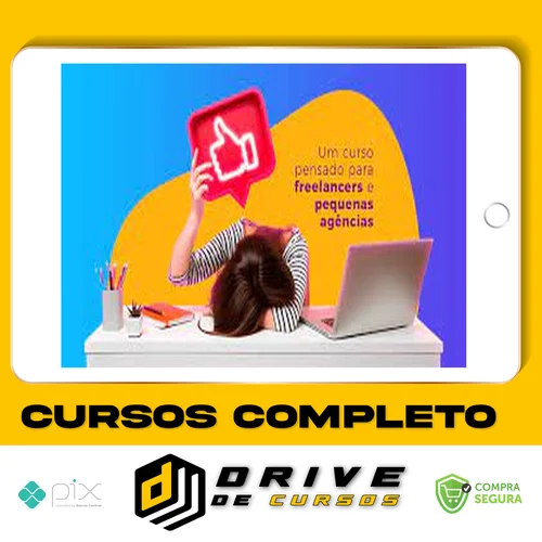 Curso Como Vender Serviços de Mídias Sociais - Agência de Bolso